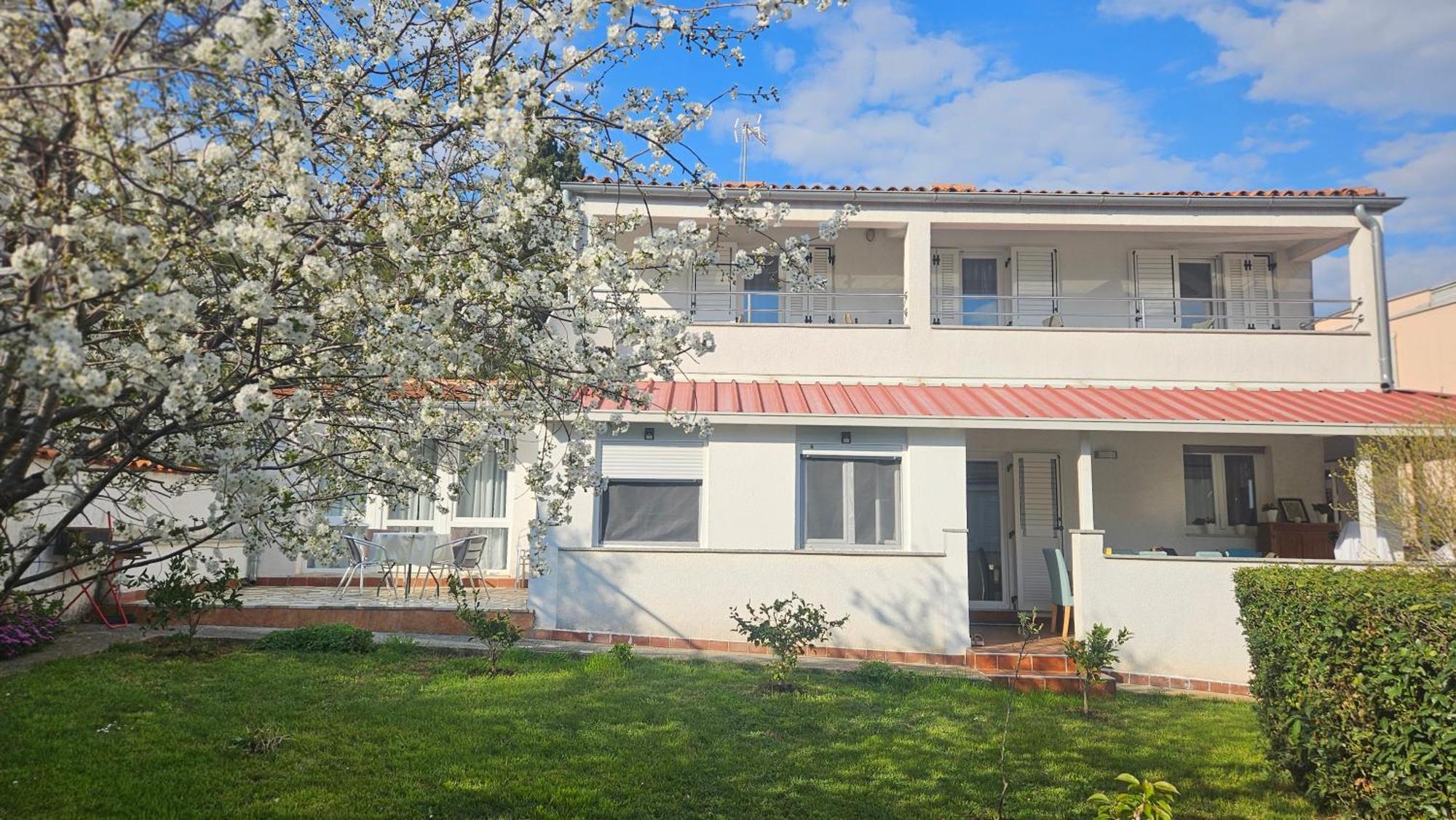 Apartments Betty Borik Rovinj Eksteriør bilde